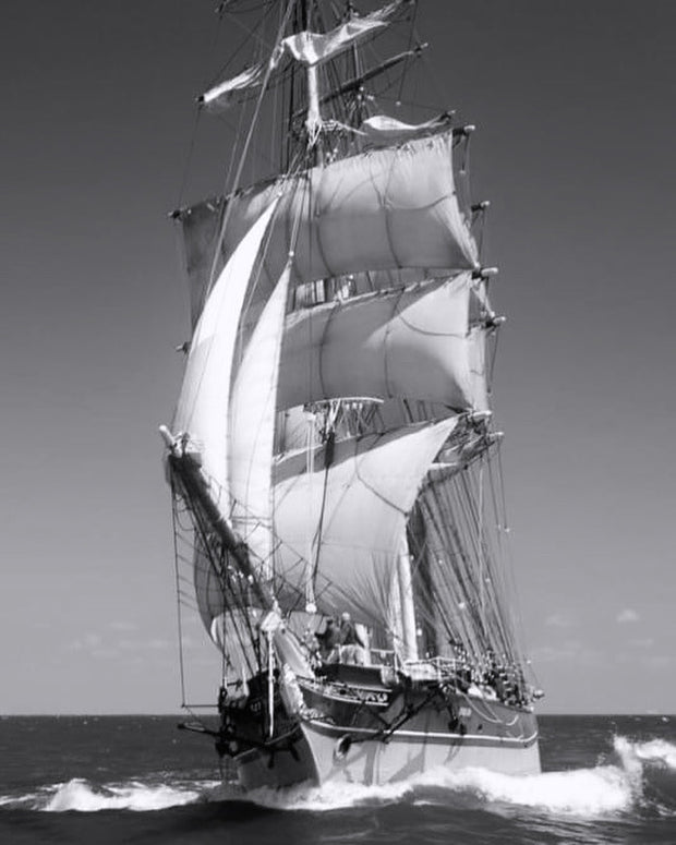 Sails of Freedom